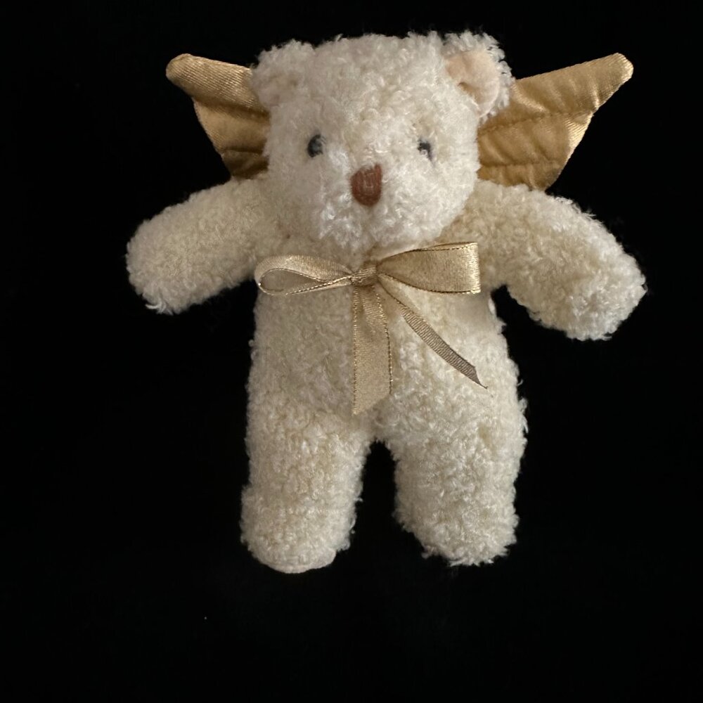 Vintage Pacifix International Angel Bear